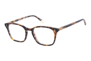 O`Neill ON 963071 60 Havanna